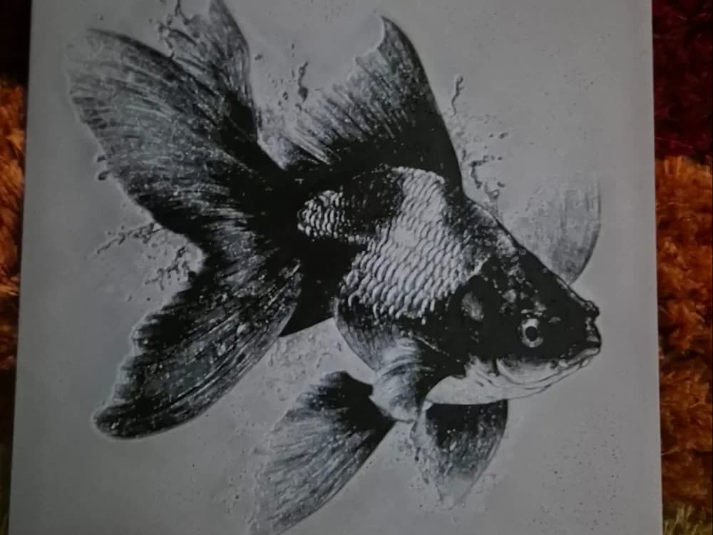 The goldfish hueforge by Buntsta HueForge model: The goldfish hueforge by Buntsta