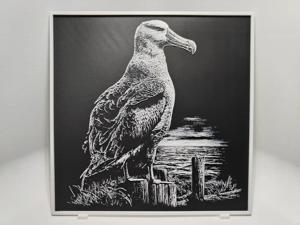 HueForge model: Albatros - Hueforge by BeaN