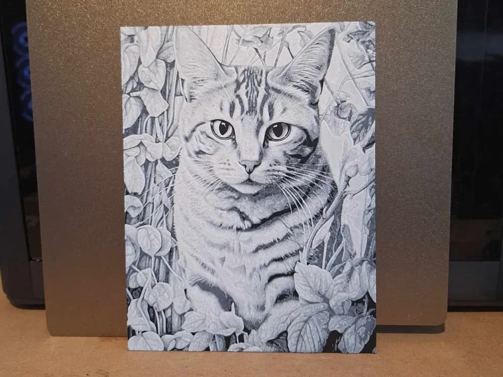 Cat in the wild - Hueforge 2 - colours Cat in the wild - Hueforge 2 - colours