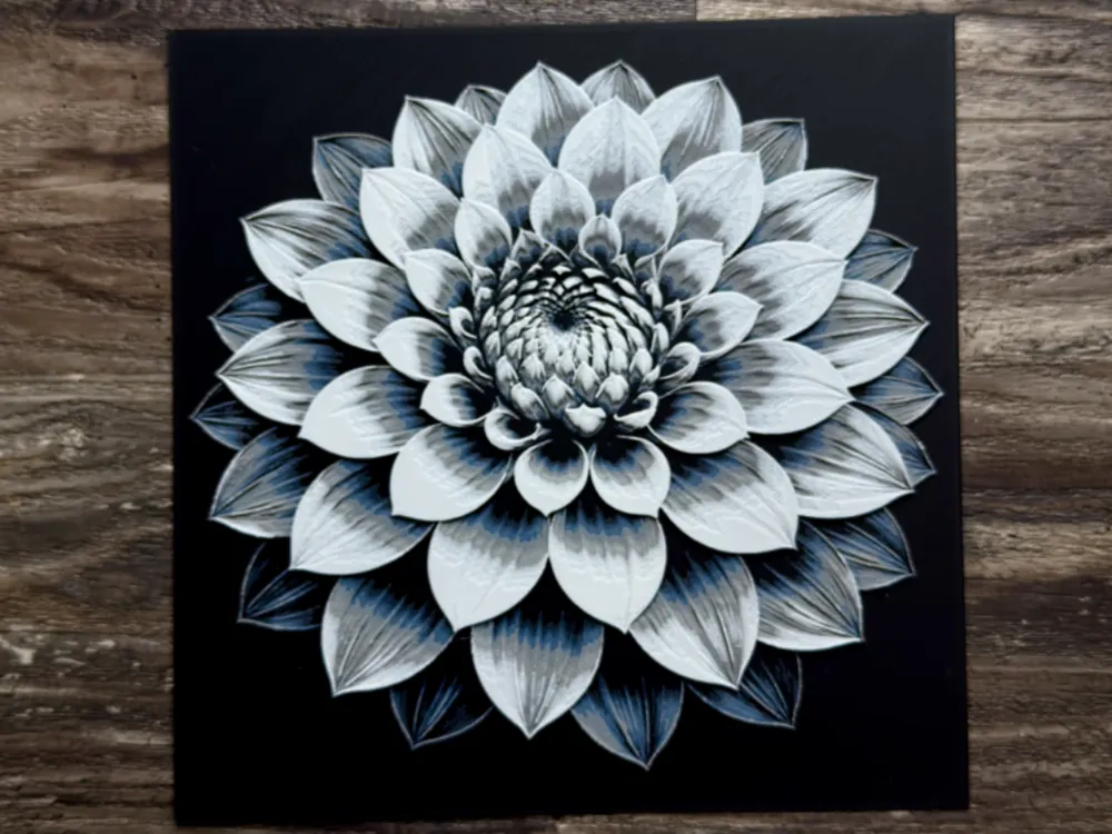 Dahlia Flower Series by novy HueForge model: Dahlia Flower Series by novy