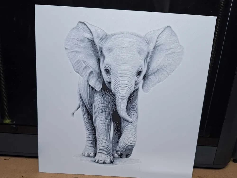 Beautiful black and white Elephant calf - hueforge by 3dGlow HueForge model: Beautiful black and white Elephant calf - hueforge by 3dGlow