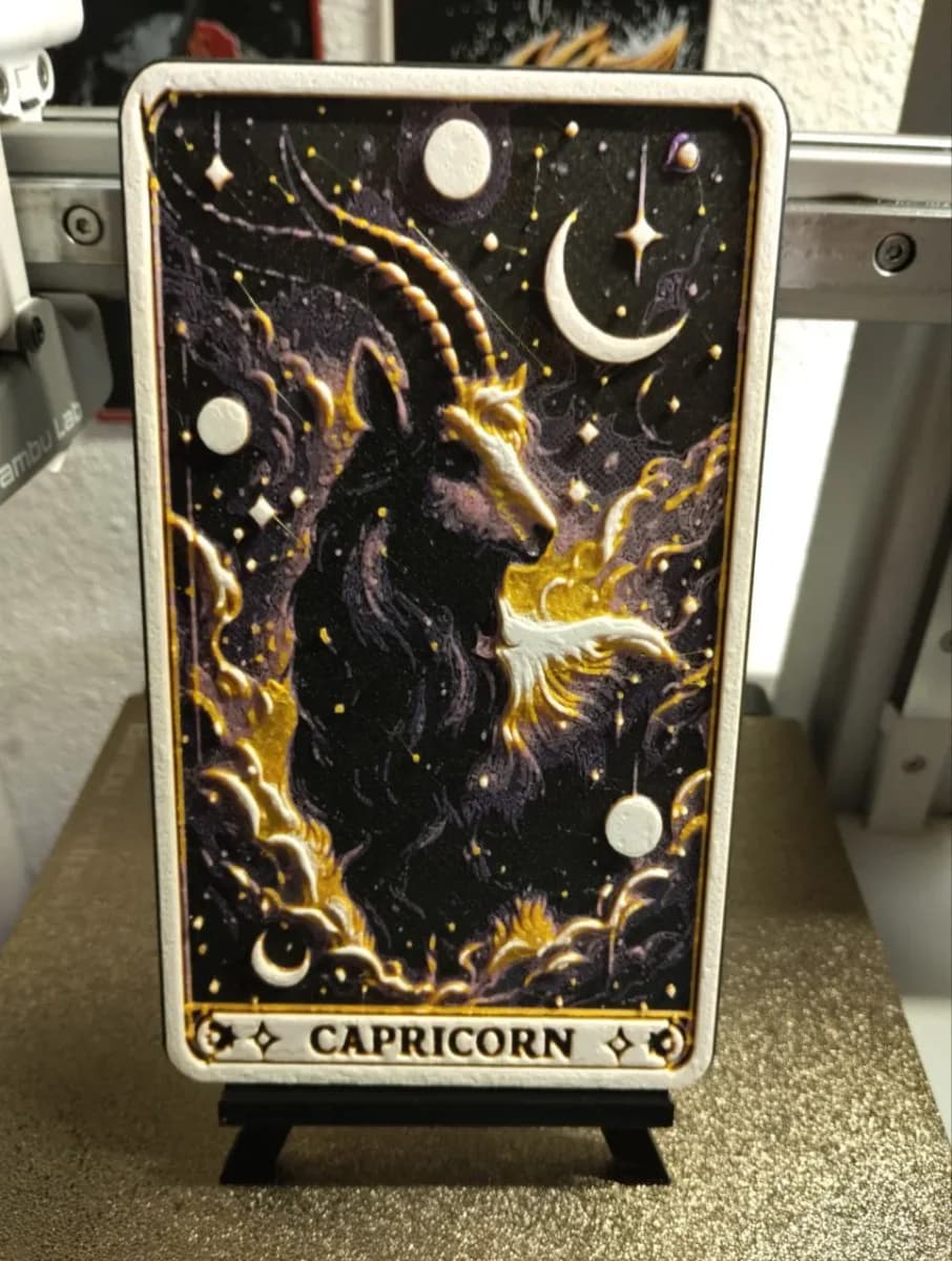 CAPRICORN CAPRICORN