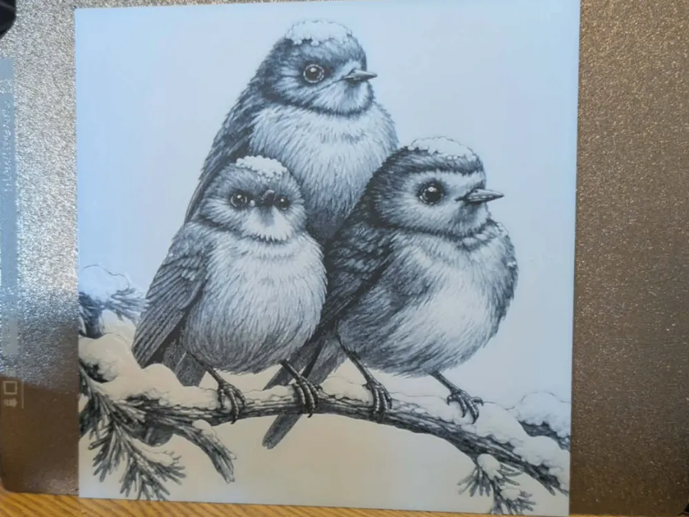 3 robins in the snow by 3dGlow HueForge model: 3 robins in the snow by 3dGlow