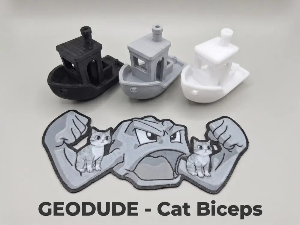 Pokemon - Geodude Cat Biceps Pokemon - Geodude Cat Biceps