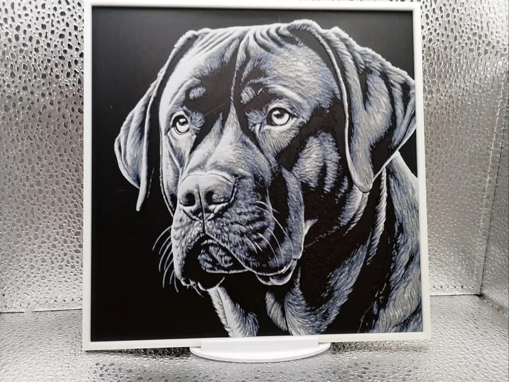 Canarian Mastiff – Hueforge 3D-Printed Artwork by Borishotch Industries HueForge model: Canarian Mastiff – Hueforge 3D-Printed Artwork by Borishotch Industries