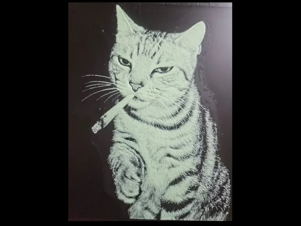 Smoking Cat - Hueforge by 3D_Rey HueForge model: Smoking Cat - Hueforge by 3D_Rey