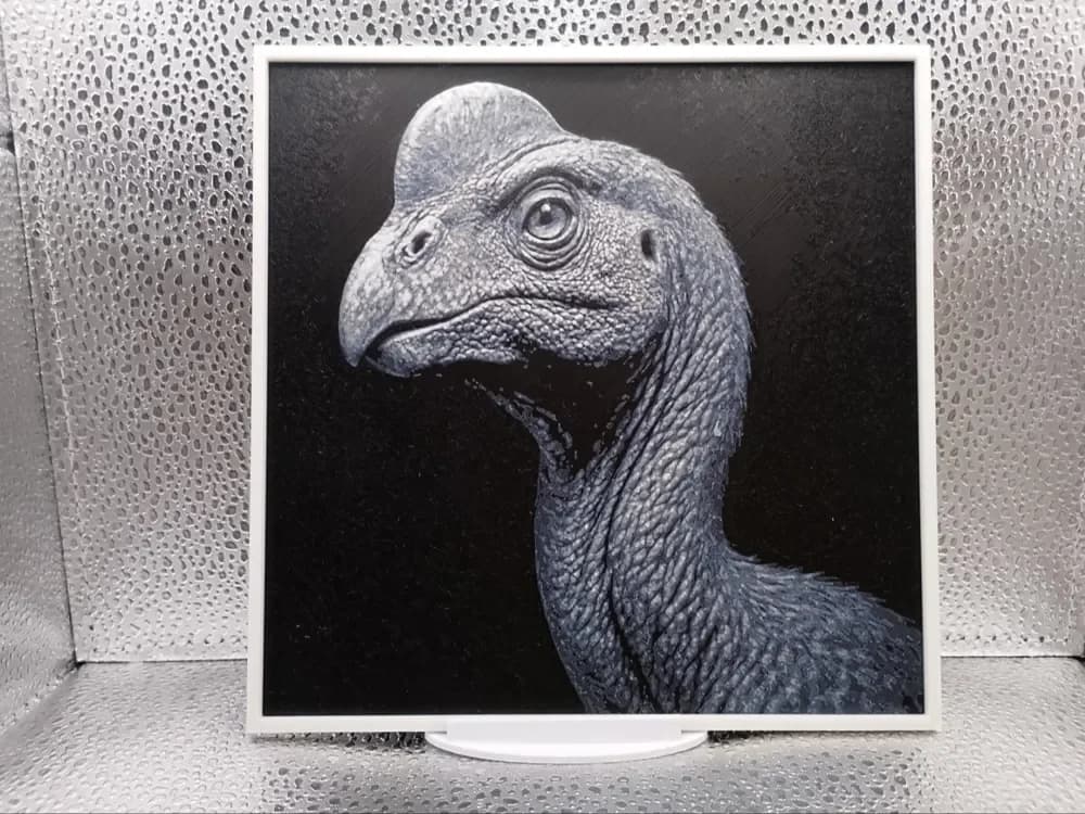 Oviraptor hueforge by Borishotch Industries HueForge model: Oviraptor hueforge by Borishotch Industries