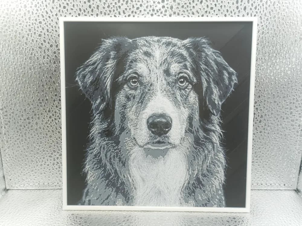English Shepherd Hueforge English Shepherd Hueforge