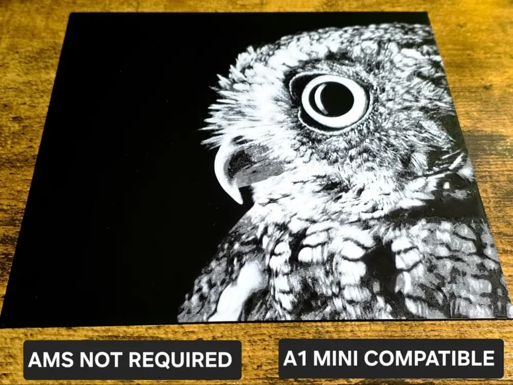 HueForge model: Owl Portrait by N0vA Designs