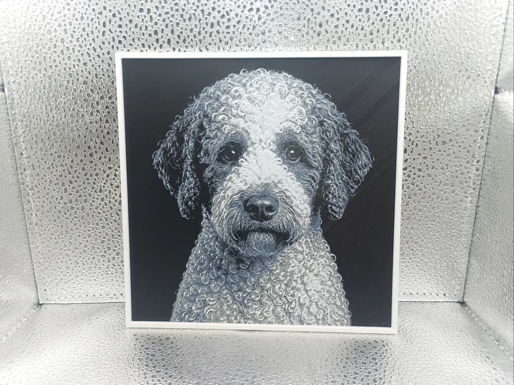 Lagotto Romagnolo - Hueforge Lagotto Romagnolo - Hueforge