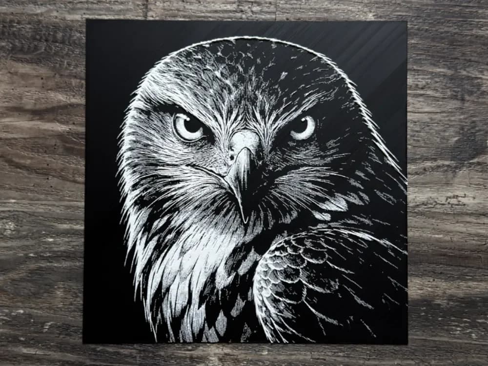 Hawk HueForge Wildlife Series Hawk HueForge Wildlife Series