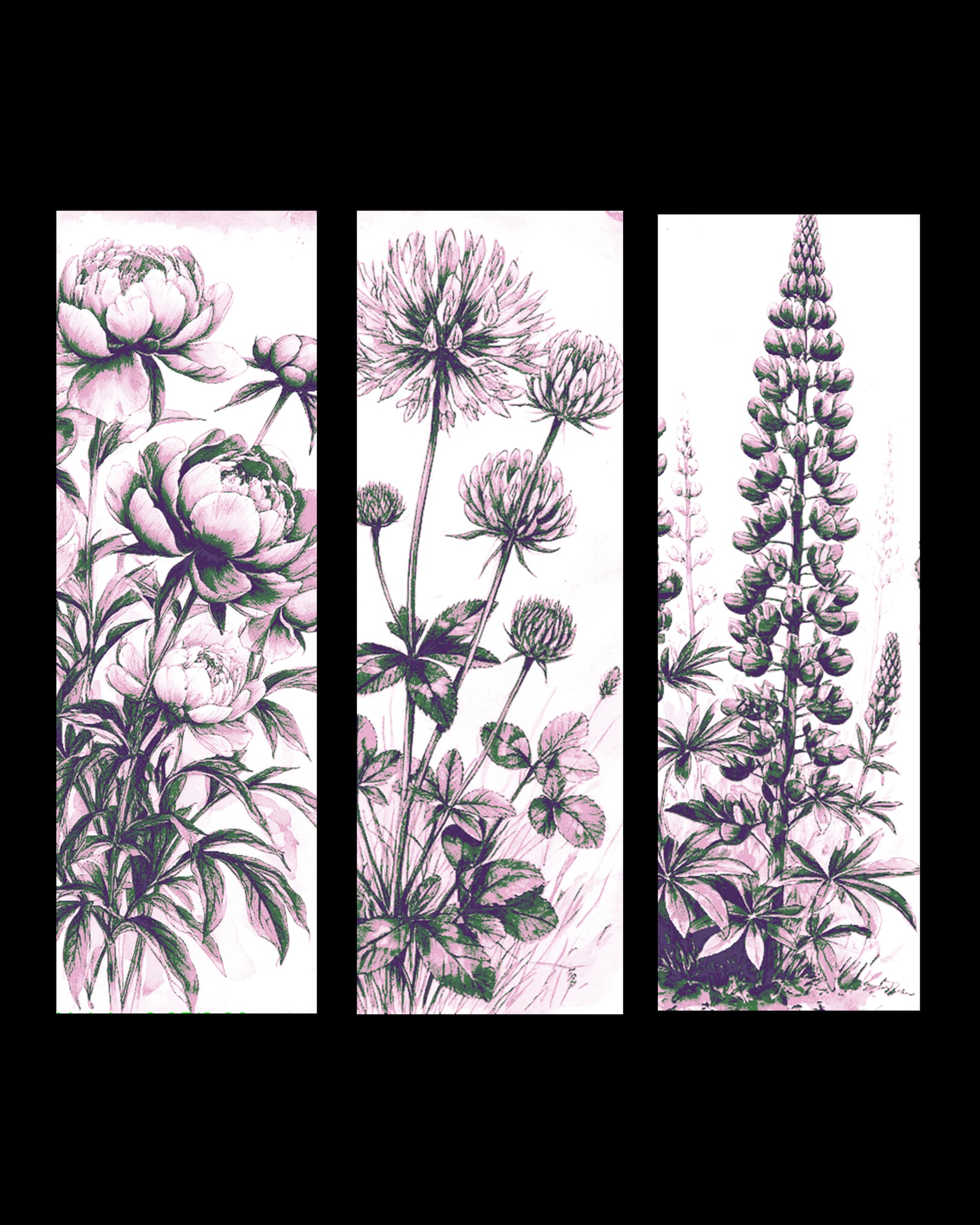 Botanical Beauty - Set of Bookmarks of Flowers by BooneCo3d HueForge model: Botanical Beauty - Set of Bookmarks of Flowers by BooneCo3d