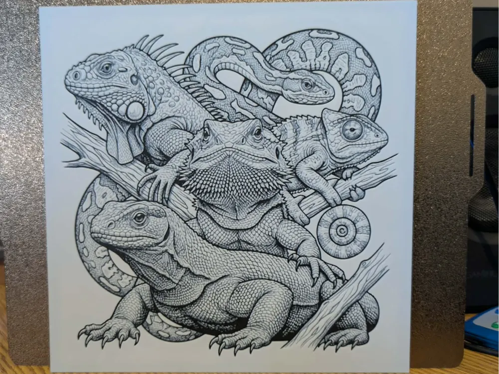 Reptiles of the world - Hueforge - 2 colours by 3dGlow HueForge model: Reptiles of the world - Hueforge - 2 colours by 3dGlow