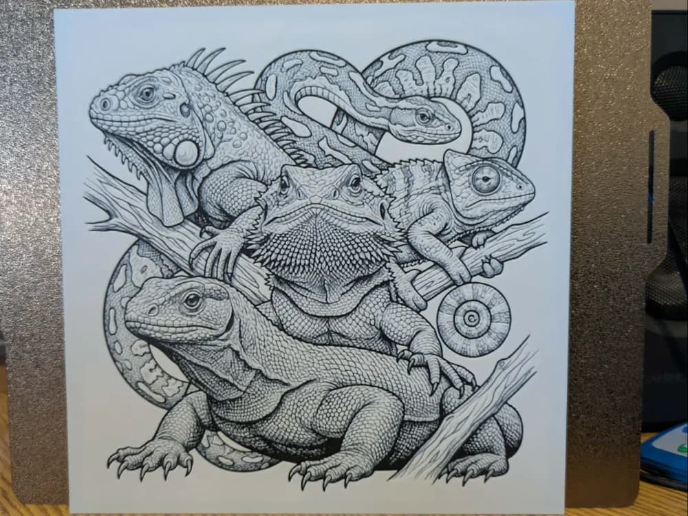 Reptiles of the world - Hueforge - 2 colours Reptiles of the world - Hueforge - 2 colours