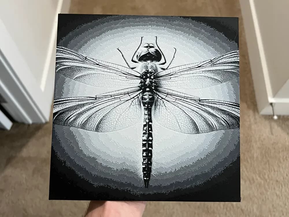 Reverse Dragonfly Art Hueforge by RP47 Designs HueForge model: Reverse Dragonfly Art Hueforge by RP47 Designs