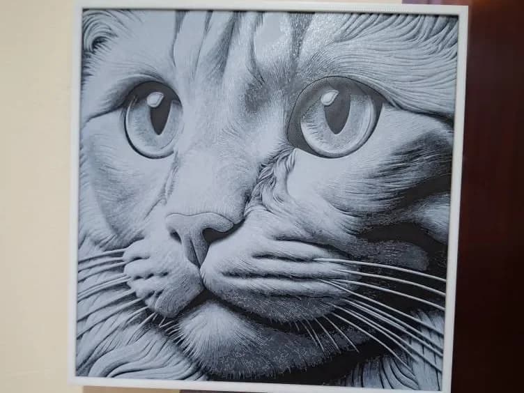 Black and white cat face - Just 2 colours! by 3dGlow HueForge model: Black and white cat face - Just 2 colours! by 3dGlow