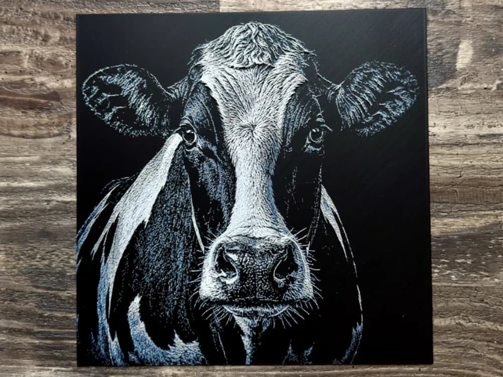 Holstein Cow Wildlife Series Holstein Cow Wildlife Series