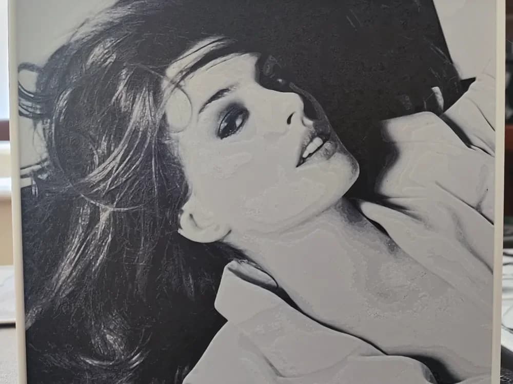 Anne Hathaway HueForge 4 Color by BoDad HueForge model: Anne Hathaway HueForge 4 Color by BoDad