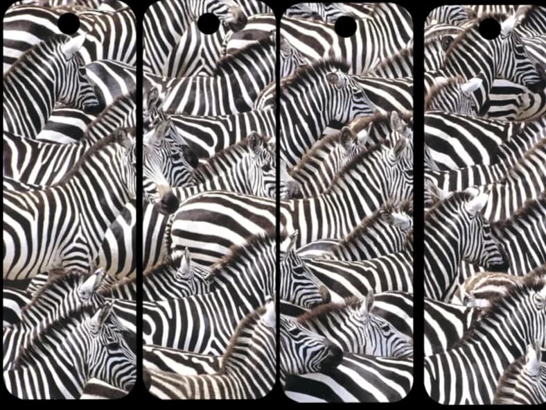 Zebra Herd Camouflage set of 4 (2 colors) by AirMechDesigns HueForge model: Zebra Herd Camouflage set of 4 (2 colors) by AirMechDesigns