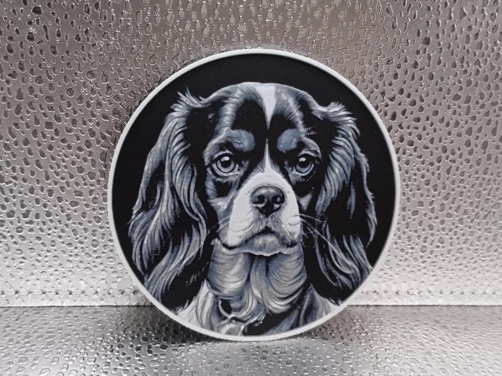 Cavalier King Charles Spaniel Coaster – Hueforge by Borishotch Industries HueForge model: Cavalier King Charles Spaniel Coaster – Hueforge by Borishotch Industries