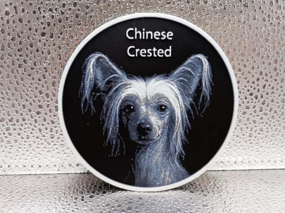 Chinese Crested Coaster hueforge by Borishotch Industries HueForge model: Chinese Crested Coaster hueforge by Borishotch Industries