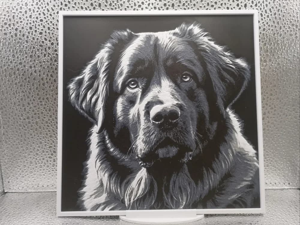 Leonberger Hueforge by Borishotch Industries HueForge model: Leonberger Hueforge by Borishotch Industries