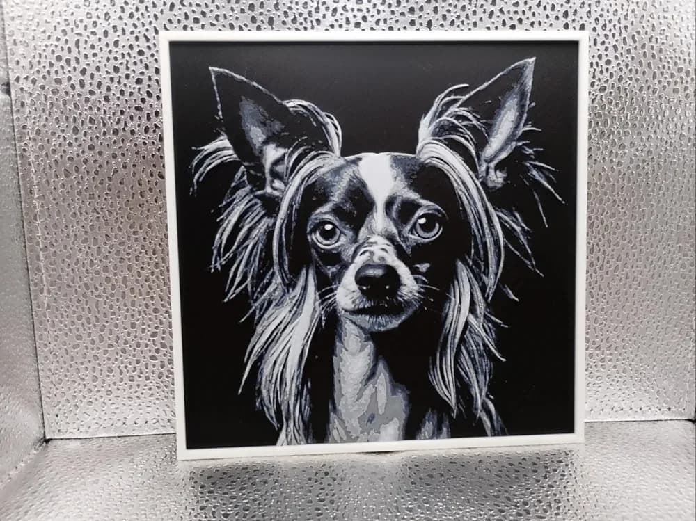 Chinese Crested – Hueforge by Borishotch Industries HueForge model: Chinese Crested – Hueforge by Borishotch Industries