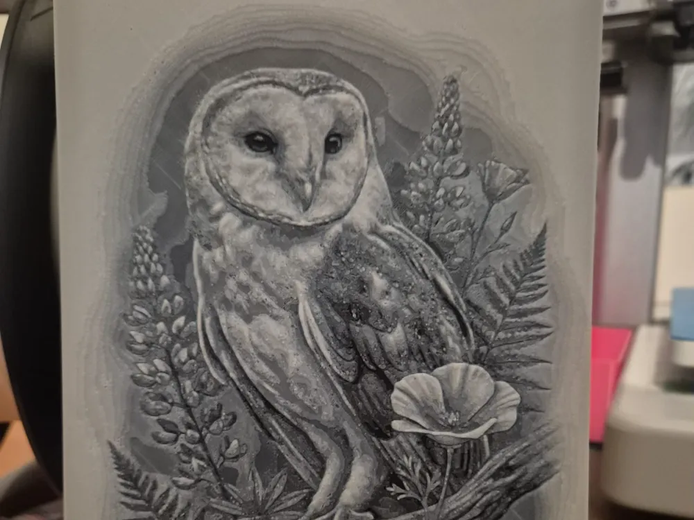 the owl the owl