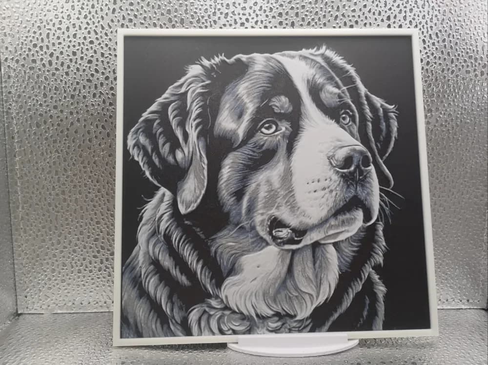 Bernese Mountain Dog hueforge by Borishotch Industries HueForge model: Bernese Mountain Dog hueforge by Borishotch Industries