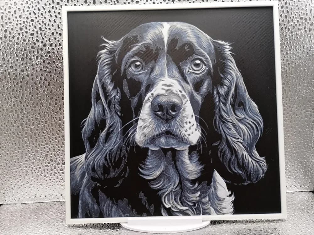 American Cocker Spaniel hueforge by Borishotch Industries HueForge model: American Cocker Spaniel hueforge by Borishotch Industries