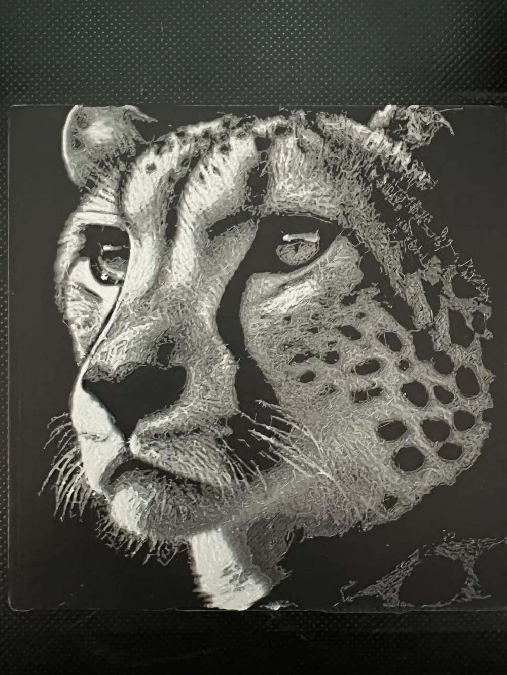 HueForge model: Cheetah by JustBe 3D Printing