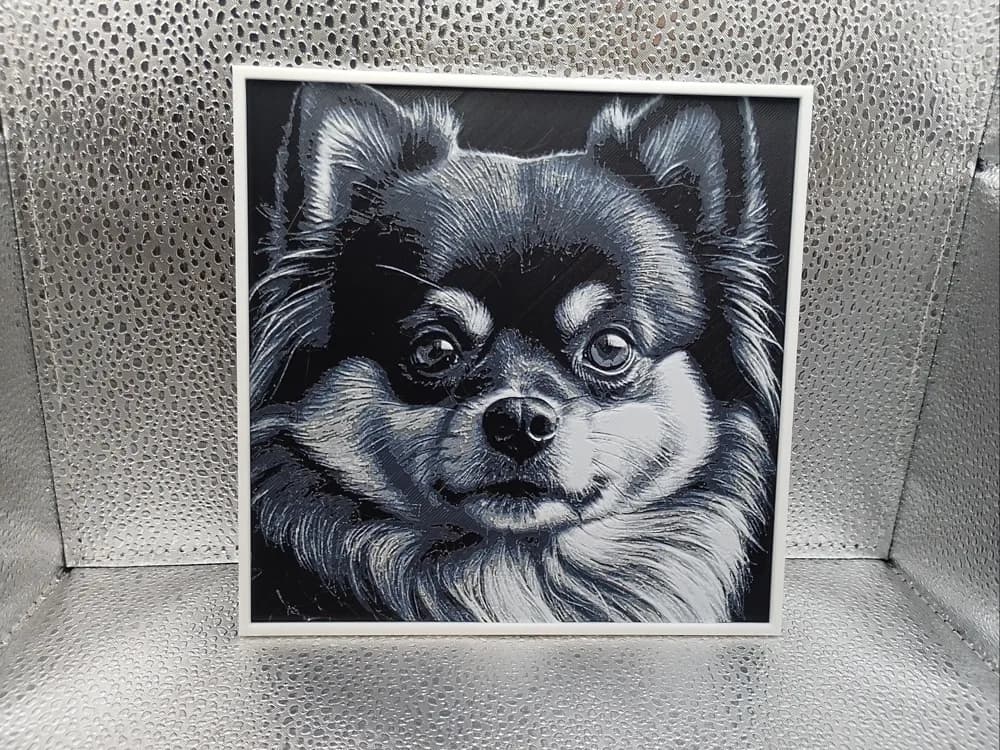 Pomeranian - Hueforge Pomeranian - Hueforge