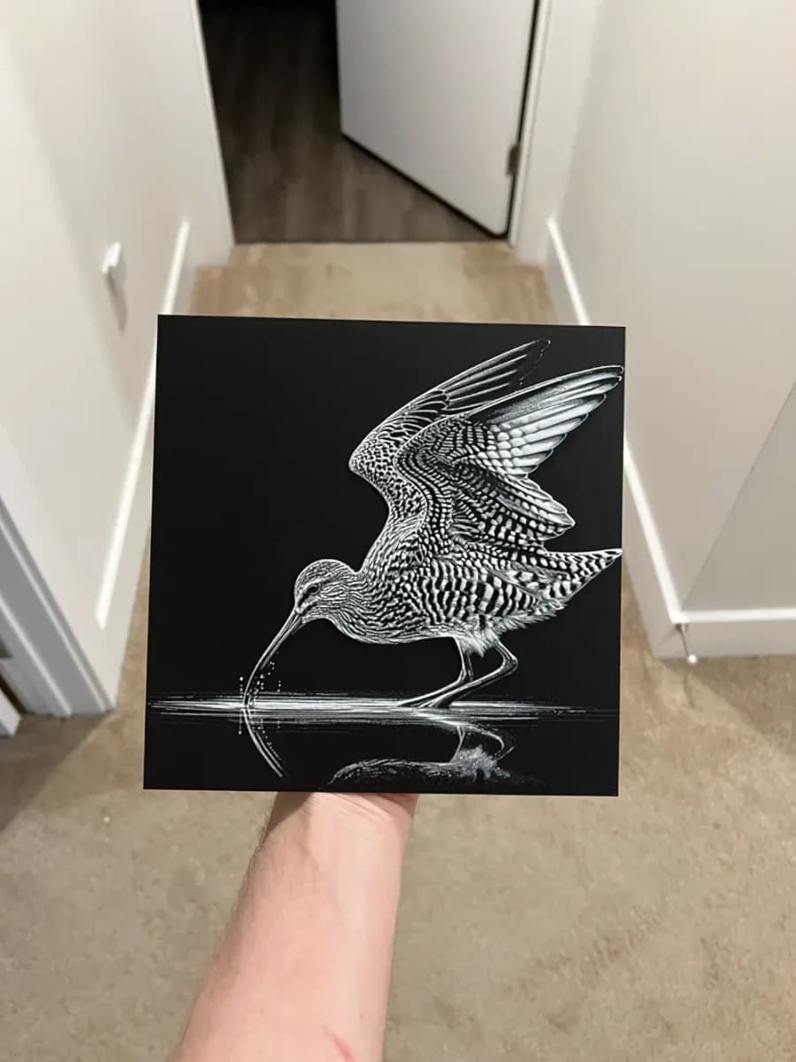 Curlew Art Hueforge by RP47 Designs HueForge model: Curlew Art Hueforge by RP47 Designs
