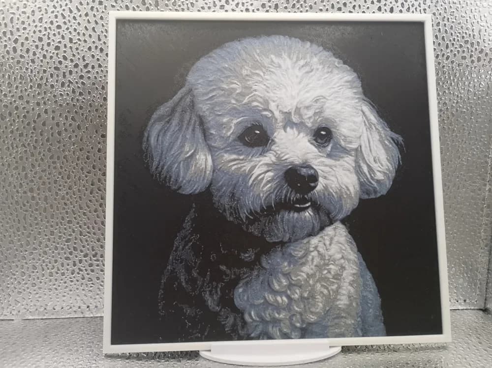 Bichon Frise hueforge by Borishotch Industries HueForge model: Bichon Frise hueforge by Borishotch Industries