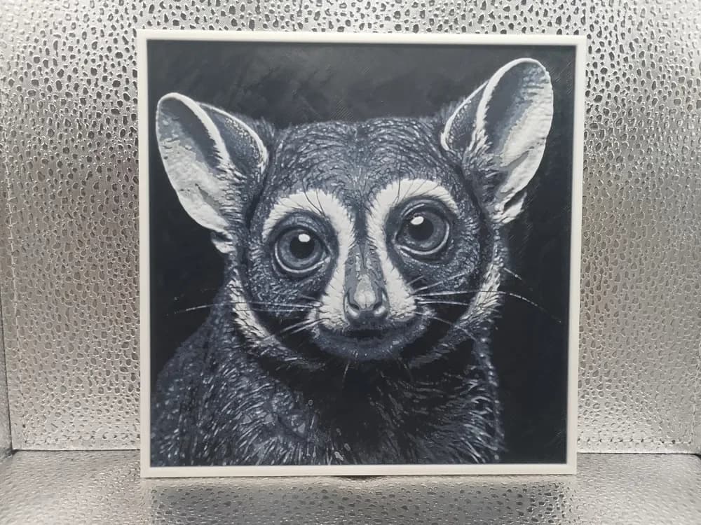 Bushbaby – Hueforge by Borishotch Industries HueForge model: Bushbaby – Hueforge by Borishotch Industries