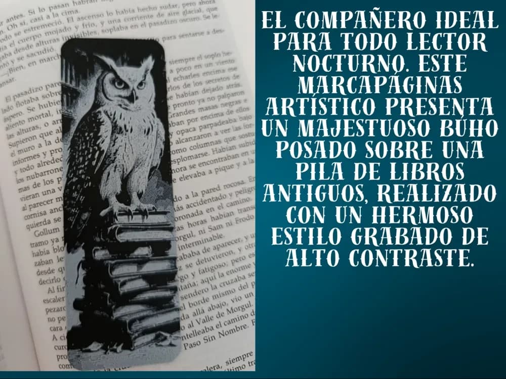 Owl & Books Bookmark Owl & Books Bookmark