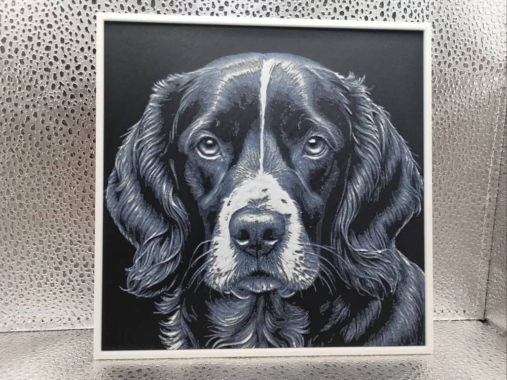 Sprocker Spaniel – Hueforge by Borishotch Industries HueForge model: Sprocker Spaniel – Hueforge by Borishotch Industries