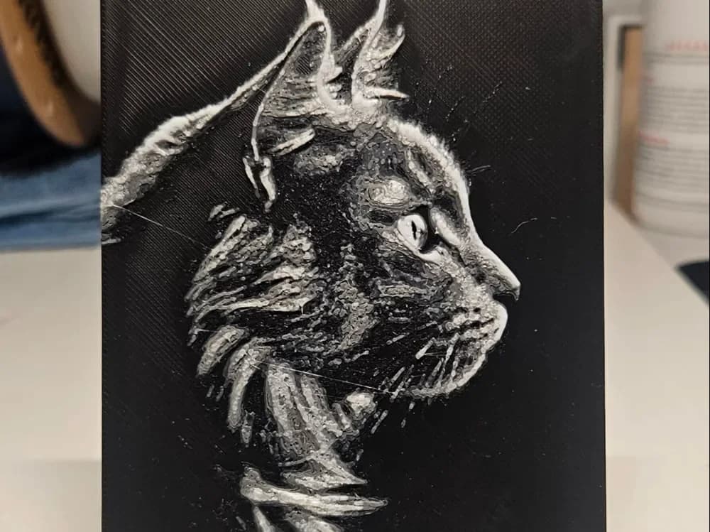 Main Coon Cat by Mano's 3d_Art HueForge model: Main Coon Cat by Mano's 3d_Art