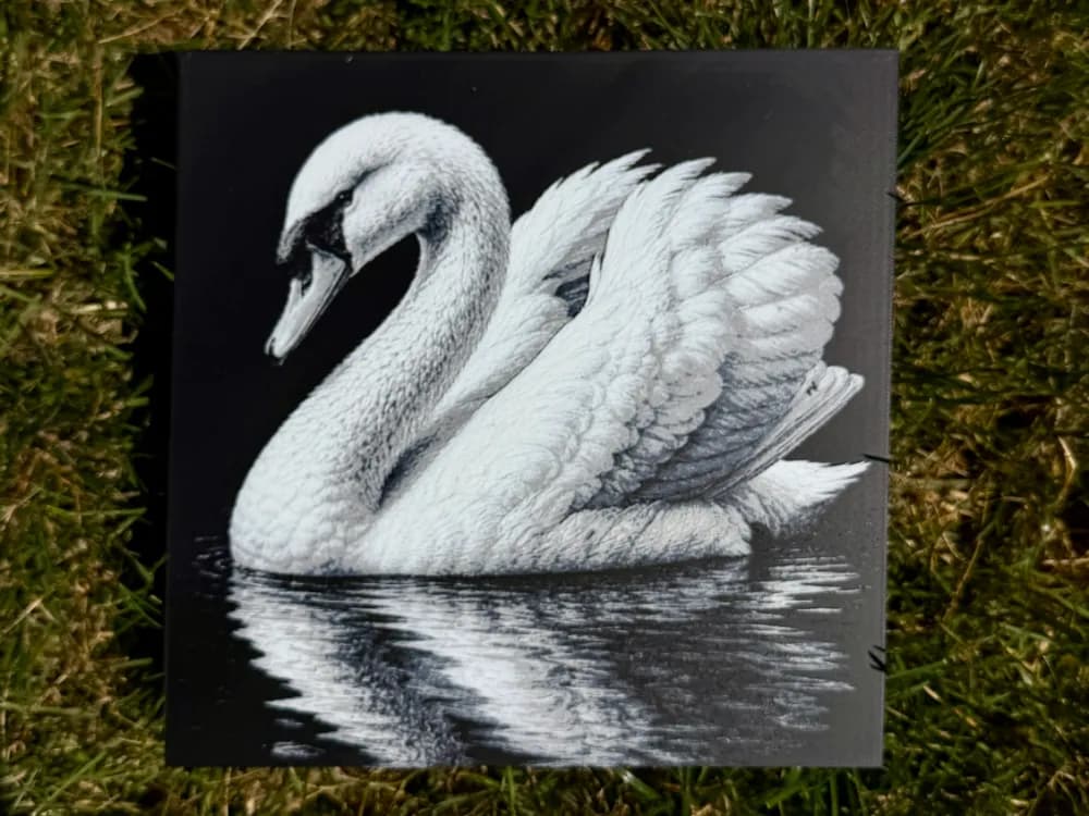 Swan Wildlife Series Swan Wildlife Series