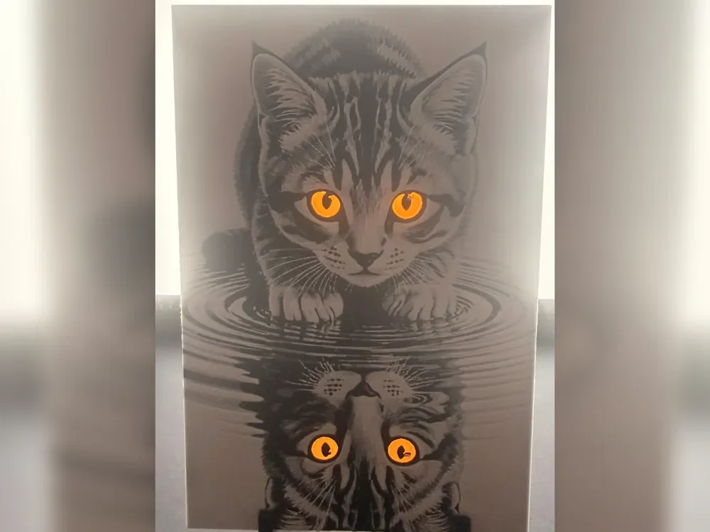 Orange-Eyed Reflection Kitten Bookmark Set by Thadius HueForge model: Orange-Eyed Reflection Kitten Bookmark Set by Thadius