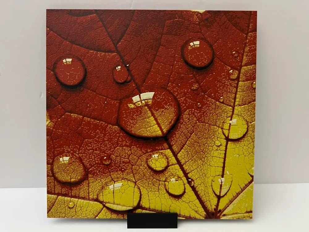 Droplets on Autumn Leaf by 3djd HueForge model: Droplets on Autumn Leaf by 3djd