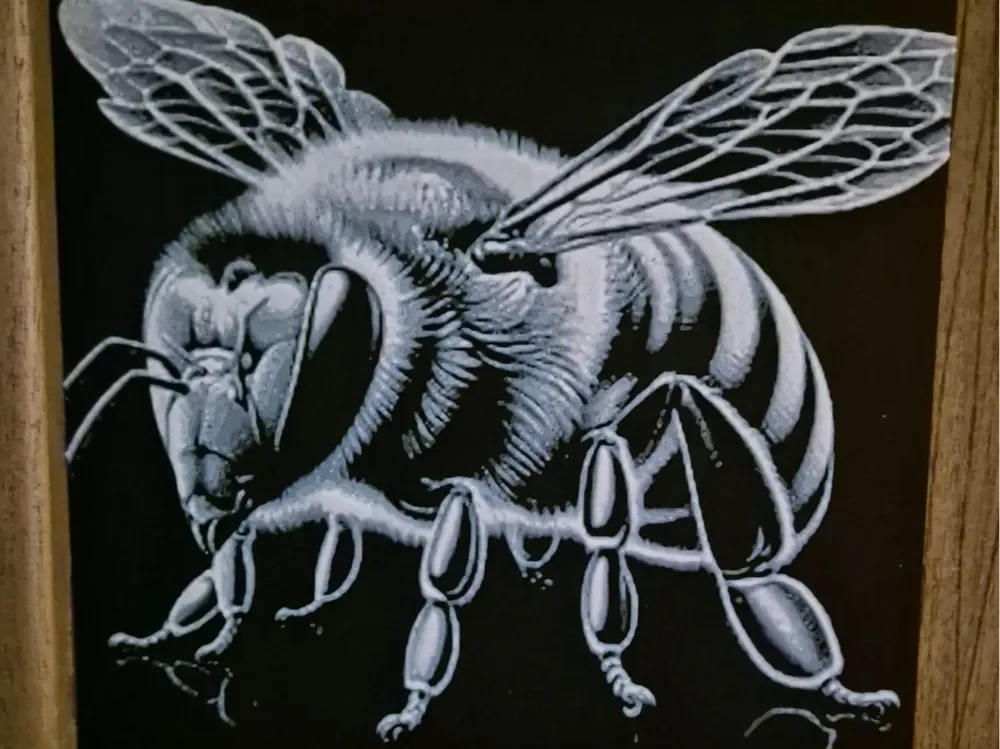 the wasp 2 hueforge by Buntsta HueForge model: the wasp 2 hueforge by Buntsta