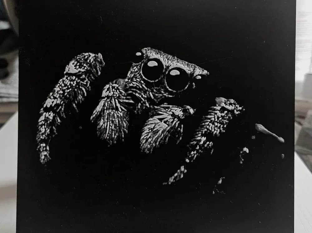 Jumping Spider by Mano's 3d_Art HueForge model: Jumping Spider by Mano's 3d_Art