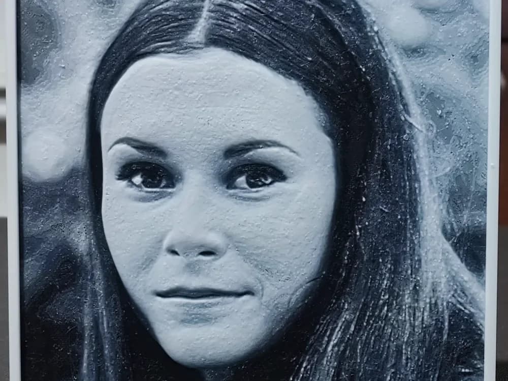 Kate Jackson (Charlie's Angels) HueForge 4 Color by BoDad HueForge model: Kate Jackson (Charlie's Angels) HueForge 4 Color by BoDad