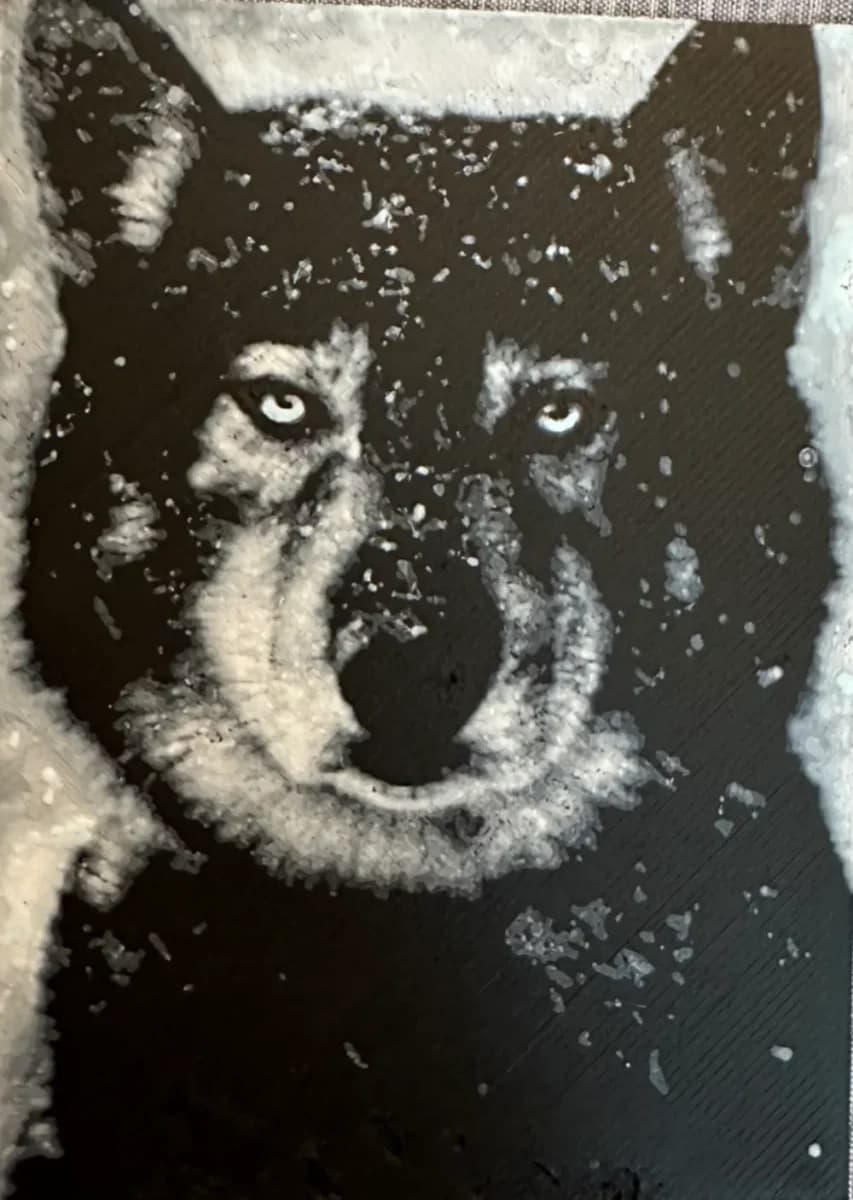 Hueforge of Togo Agouti Siberian Husky by Hey Ben HueForge model: Hueforge of Togo Agouti Siberian Husky by Hey Ben
