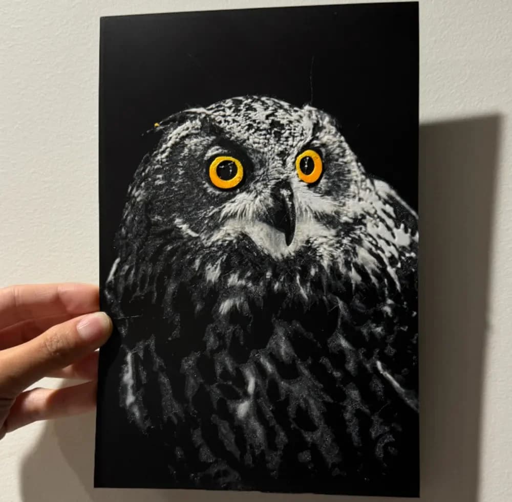 Owlbert Einsten - A LanternLore Collaboration by cyanidesugar HueForge model: Owlbert Einsten - A LanternLore Collaboration by cyanidesugar