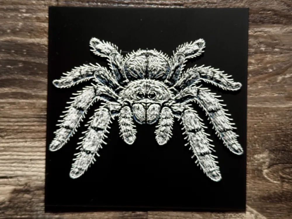 Tarantula Spider Wildlife Series by novy HueForge model: Tarantula Spider Wildlife Series by novy