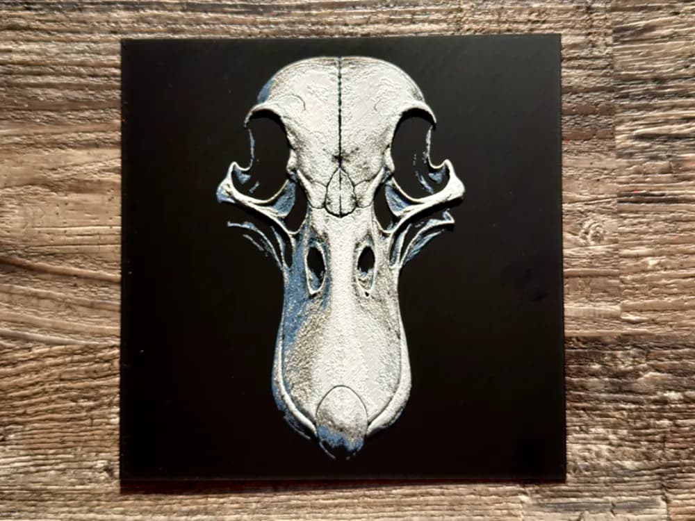 Duck SKull Series by novy HueForge model: Duck SKull Series by novy