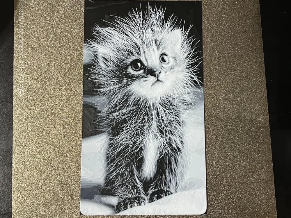 Curious Kitten Hueforge