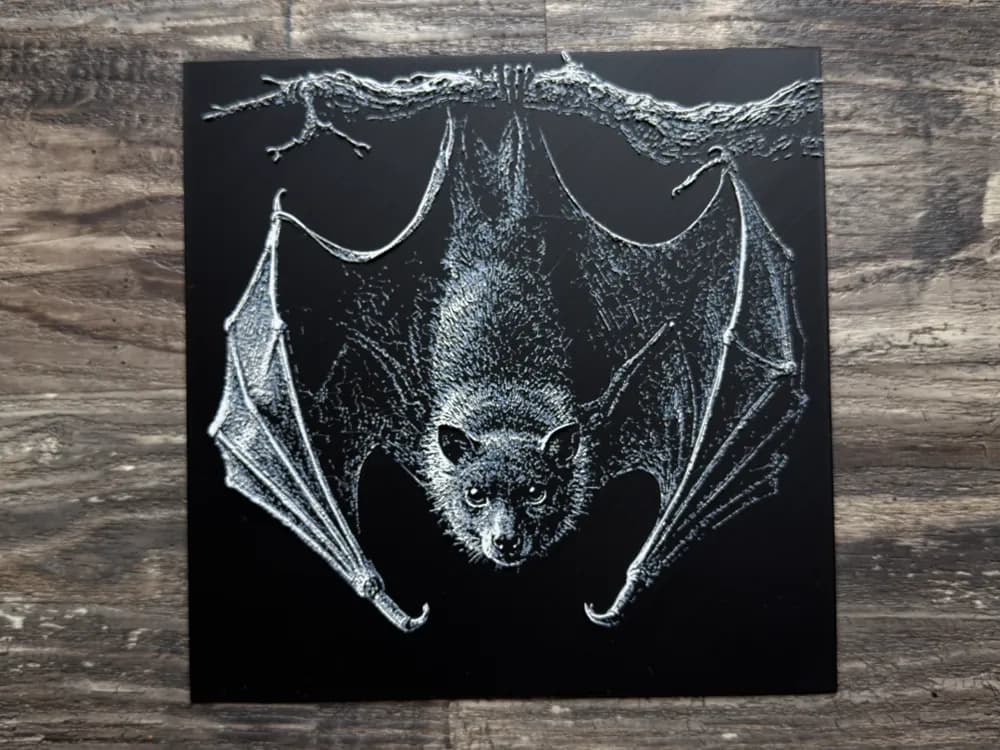 Flying Fox Bat Wildlife Series by novy HueForge model: Flying Fox Bat Wildlife Series by novy